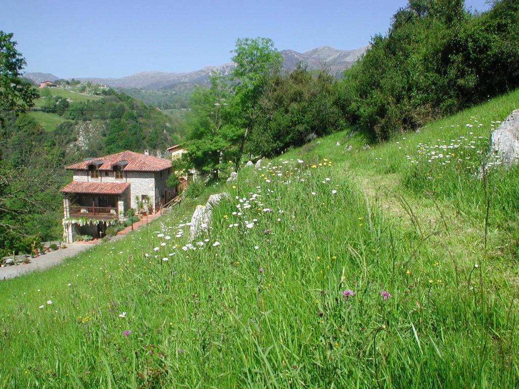 Hotel Posada Del Valle Collía エクステリア 写真